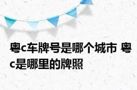 粤c车牌号是哪个城市 粤c是哪里的牌照