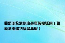 葡萄浏览器到底是真假搜狐网（葡萄浏览器到底是真假）