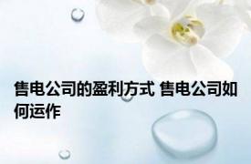 售电公司的盈利方式 售电公司如何运作