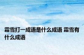 霜雪打一成语是什么成语 霜雪有什么成语