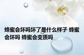 蜂蜜会坏吗坏了是什么样子 蜂蜜会坏吗 蜂蜜会变质吗