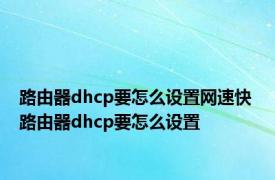 路由器dhcp要怎么设置网速快 路由器dhcp要怎么设置