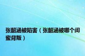 张韶涵被陷害（张韶涵被哪个闺蜜背叛）