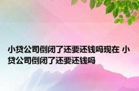 小贷公司倒闭了还要还钱吗现在 小贷公司倒闭了还要还钱吗