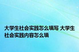 大学生社会实践怎么填写 大学生社会实践内容怎么填