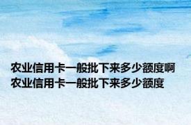 农业信用卡一般批下来多少额度啊 农业信用卡一般批下来多少额度