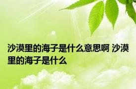 沙漠里的海子是什么意思啊 沙漠里的海子是什么