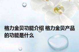 格力金贝功能介绍 格力金贝产品的功能是什么