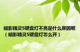 暗影精灵5键盘灯不亮是什么原因呢（暗影精灵5键盘灯怎么开）