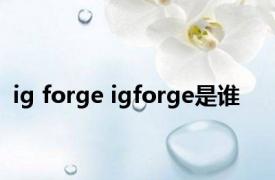 ig forge igforge是谁