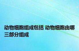 动物细胞组成包括 动物细胞由哪三部分组成