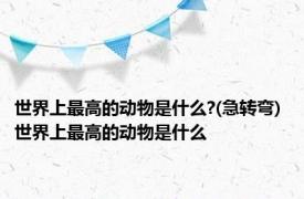 世界上最高的动物是什么?(急转弯) 世界上最高的动物是什么