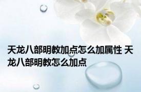 天龙八部明教加点怎么加属性 天龙八部明教怎么加点