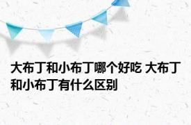 大布丁和小布丁哪个好吃 大布丁和小布丁有什么区别