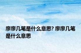 廖廖几笔是什么意思? 廖廖几笔是什么意思