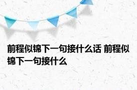 前程似锦下一句接什么话 前程似锦下一句接什么