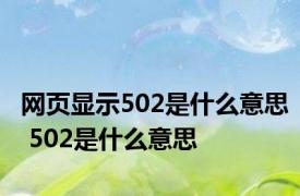 网页显示502是什么意思 502是什么意思