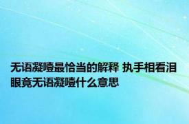 无语凝噎最恰当的解释 执手相看泪眼竟无语凝噎什么意思