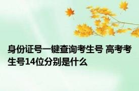 身份证号一键查询考生号 高考考生号14位分别是什么