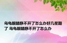 乌龟眼睛睁不开了怎么办好几星期了 乌龟眼睛睁不开了怎么办