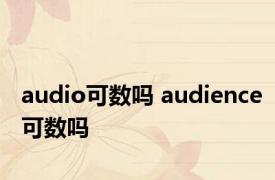 audio可数吗 audience可数吗