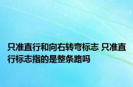 只准直行和向右转弯标志 只准直行标志指的是整条路吗