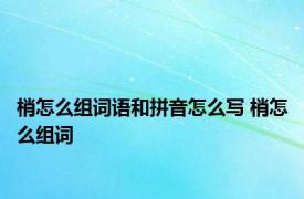 梢怎么组词语和拼音怎么写 梢怎么组词