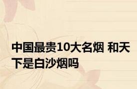 中国最贵10大名烟 和天下是白沙烟吗