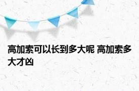 高加索可以长到多大呢 高加索多大才凶