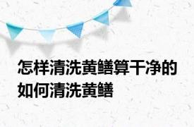 怎样清洗黄鳝算干净的 如何清洗黄鳝