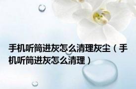 手机听筒进灰怎么清理灰尘（手机听筒进灰怎么清理）