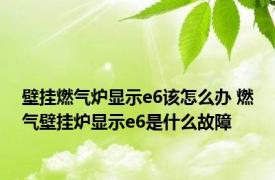 壁挂燃气炉显示e6该怎么办 燃气壁挂炉显示e6是什么故障