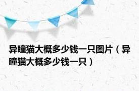 异瞳猫大概多少钱一只图片（异瞳猫大概多少钱一只）