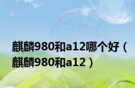 麒麟980和a12哪个好（麒麟980和a12）