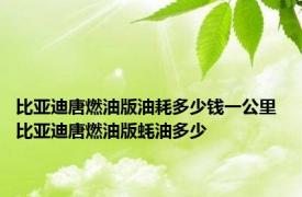 比亚迪唐燃油版油耗多少钱一公里 比亚迪唐燃油版蚝油多少