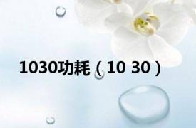 1030功耗（10 30）