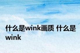 什么是wink画质 什么是wink