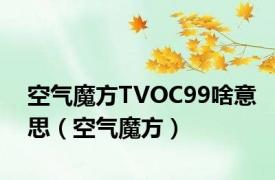 空气魔方TVOC99啥意思（空气魔方）