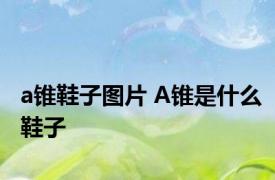 a锥鞋子图片 A锥是什么鞋子