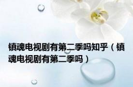 镇魂电视剧有第二季吗知乎（镇魂电视剧有第二季吗）