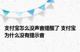 支付宝怎么没声音提醒了 支付宝为什么没有提示音