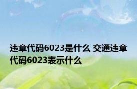 违章代码6023是什么 交通违章代码6023表示什么