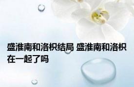 盛淮南和洛枳结局 盛淮南和洛枳在一起了吗