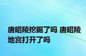 唐昭陵挖掘了吗 唐昭陵地宫打开了吗