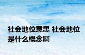 社会地位意思 社会地位是什么概念啊