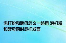 泡打粉和酵母怎么一起用 泡打粉和酵母同时怎样发面