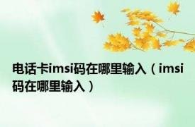 电话卡imsi码在哪里输入（imsi码在哪里输入）