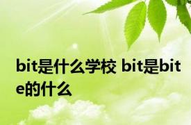 bit是什么学校 bit是bite的什么