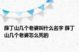 薛丁山几个老婆叫什么名字 薛丁山几个老婆怎么死的