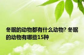 冬眠的动物都有什么动物? 冬眠的动物有哪些15种